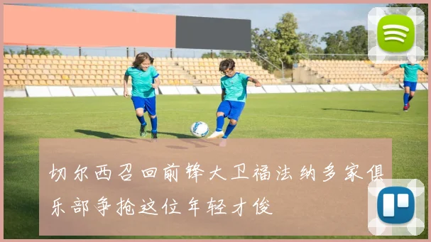 切尔西召回前锋大卫福法纳多家俱乐部争抢这位年轻才俊