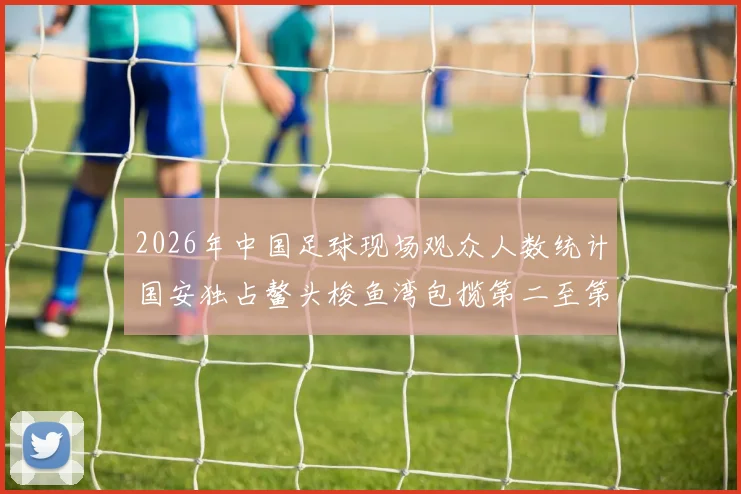 2026年中国足球现场观众人数统计国安独占鳌头梭鱼湾包揽第二至第七位