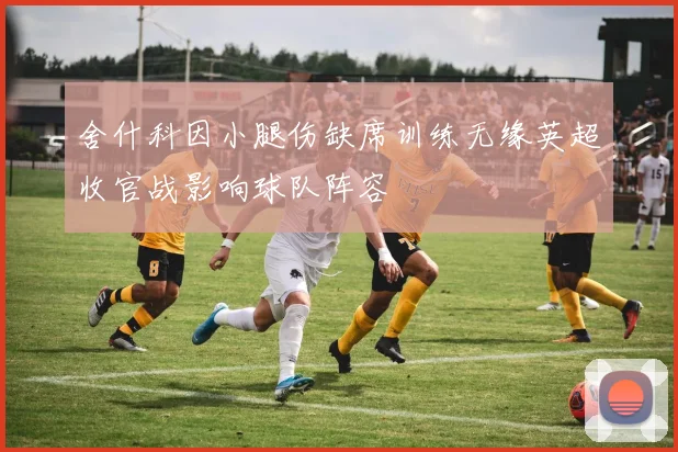 舍什科因小腿伤缺席训练无缘英超收官战影响球队阵容