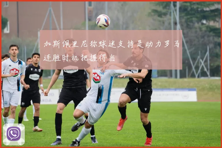 加斯佩里尼称球迷支持是动力罗马连胜时机把握得当